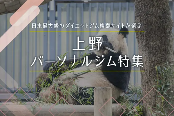 上野・御徒町のパーソナルトレーニングジム9選にご掲載いただきました✨